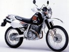 Suzuki DR 250 Djebel